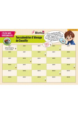 Kit d'élevage de coccinelles - Larves incluses