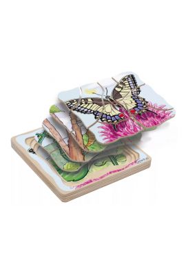 Puzzle développement papillons