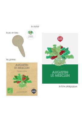 Mini kit de graines BIO d'Augustun le mesclun