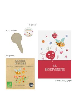 Mini kit de graines BIO de mélange de fleurs mellifères