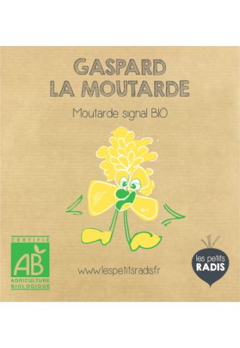 Mini kit de graines BIO de Gaspard la moutarde