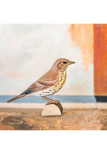 Decobird Grive musicienne