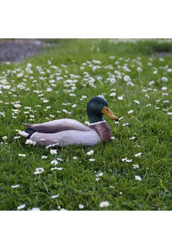 Decobird canard colvert mâle