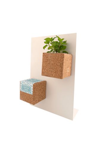 Grow Cube aimanté Sapin de Noël - boite verte