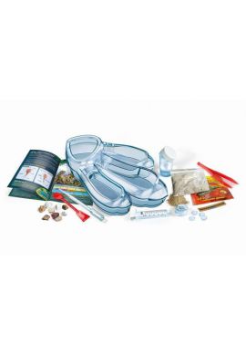 Triops