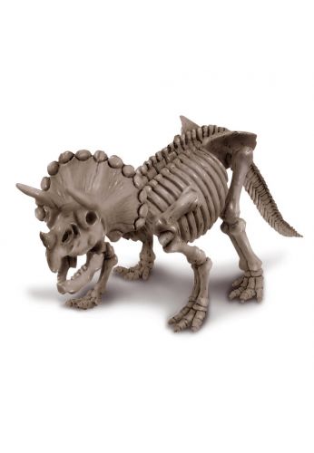 Kit pour déterrer un Dinosaure Triceratops