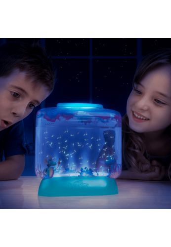 Kit Aqua-dragons avec Lampe Led