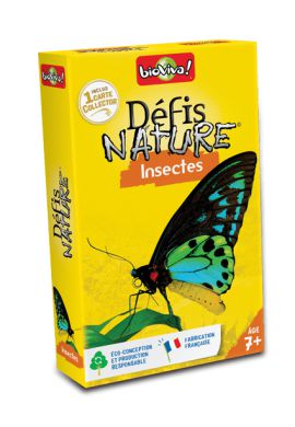 Défis nature : les insectes