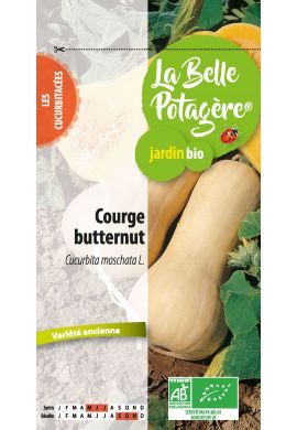 Courge butternut 2,5 g