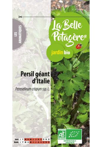 Persil géant d'Italie 2 g