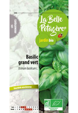 Basilic grand vert 0,5 g
