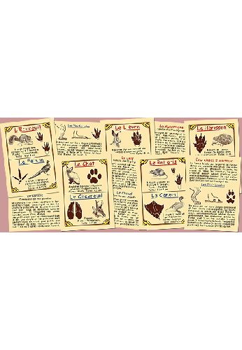 Empreintes d'animaux de nos campagnes Empreintes d'animaux de nos campagnes