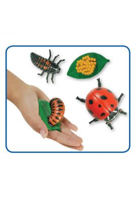 Figurines métamorphose Coccinelles