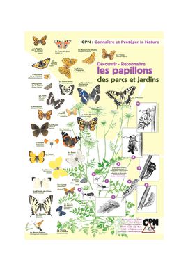 Affiche : les papillons de nos jardins