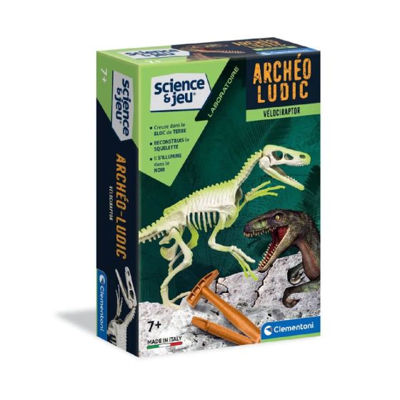 Archéo-ludic Vélociraptor Archéo-ludic Vélociraptor