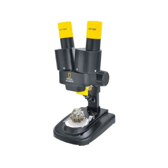 Microscope stéréo