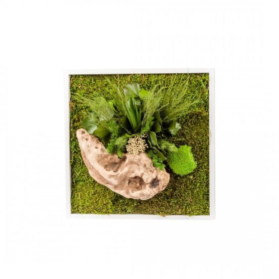 Tableau végétal gamme nature, carré 35 x 35 cm
