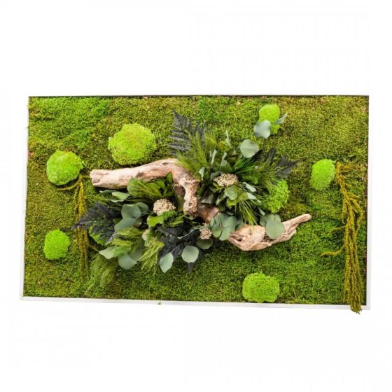 Tableau végétal gamme nature, rectangle panoramique 20x 70 cm