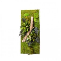 Tableau végétal gamme nature, rectangle L 40x 90 cm