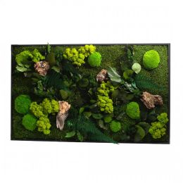 Tableau végétal CANOPEE Rectangle 60 x 100 cm