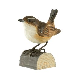 Décobird Troglodyte