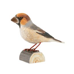 Decobird Gros bec