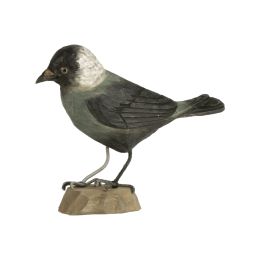 Décobird choucas des tours