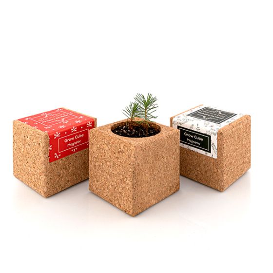 Grow Cube aimanté Sapin de Noël - boite verte