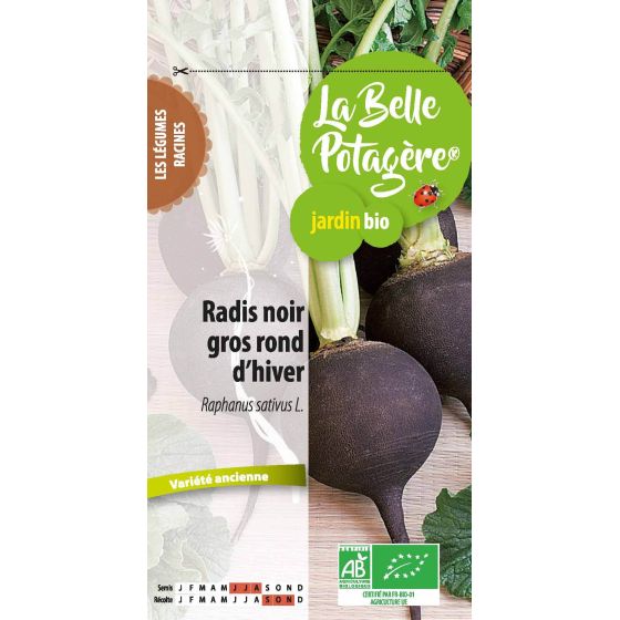 Radis noir gros rond d'hiver 4 g