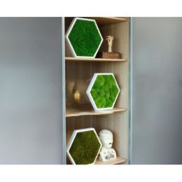 Tableau stabilisé hexagonal lichen vert citron