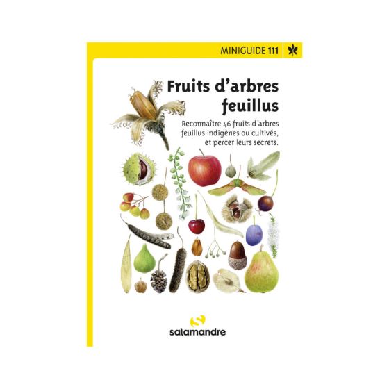 Miniguide 111 - Fruits d'arbres feuillus