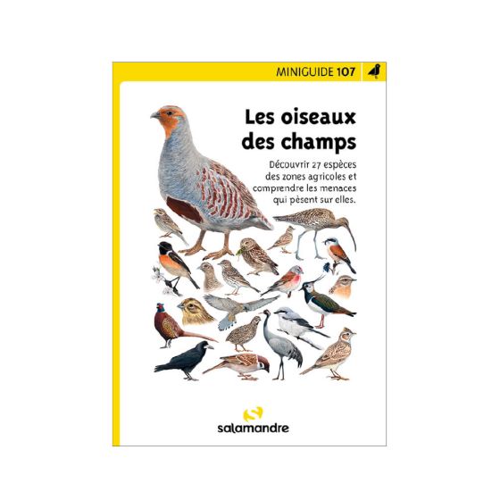 Miniguide 107 - Les oiseaux des champs