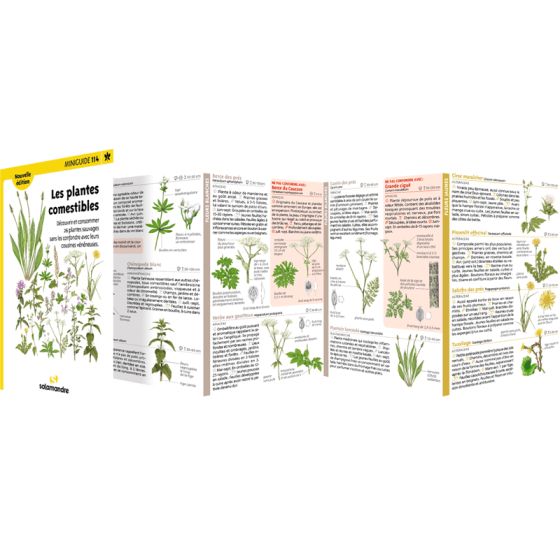 Miniguides 114 - Les Plantes Commestibles