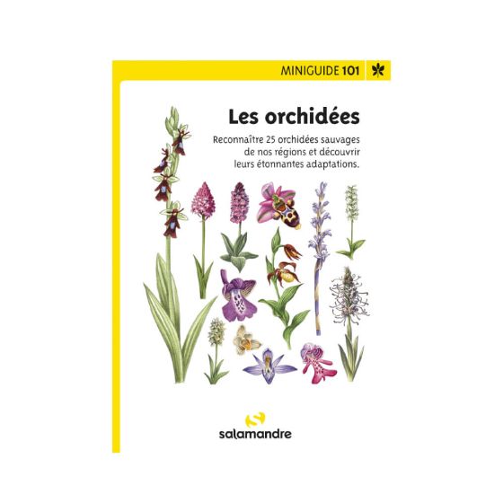 Miniguide 101 - Les orchidées Miniguide 101 - Les orchidées