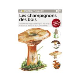 MINIGUIDE 99 LES CHAMPIGNONS DES BOIS