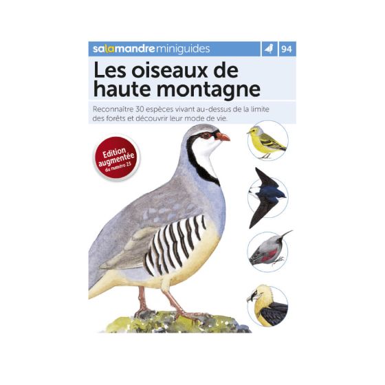 MINIGUIDE 94 LES OISEAUX DE HAUTE MONTAGNE