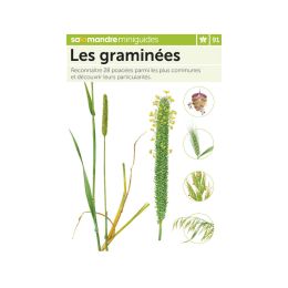 MINIGUIDE 91 LES GRAMINEES