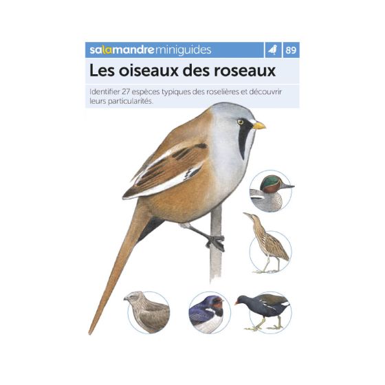 MINIGUIDE 89 LES OISEAUX DES ROSEAUX MINIGUIDE 89 LES OISEAUX DES ROSEAUX