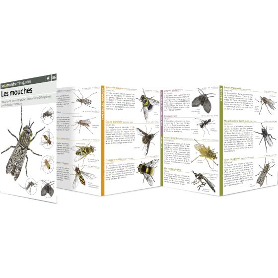 MINIGUIDE 86 LES MOUCHES