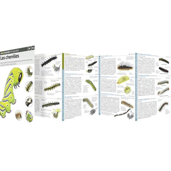 MINIGUIDE 96 LES CHENILLES