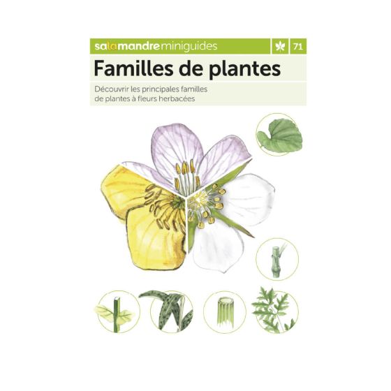MINIGUIDE 71 FAMILLES DES PLANTES MINIGUIDE 71 FAMILLES DES PLANTES