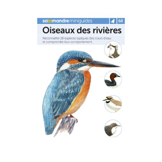 MINIGUIDE 68 OISEAUX DES RIVIERES