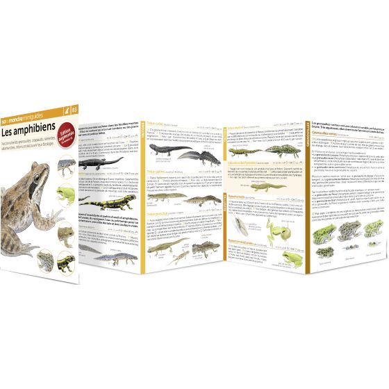 MINIGUIDE 83 LES AMPHIBIENS