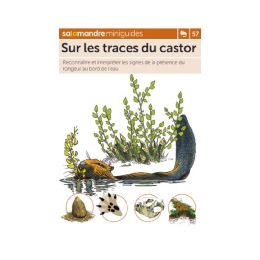 MINIGUIDE 57 SUR LES TRACES DU CASTOR