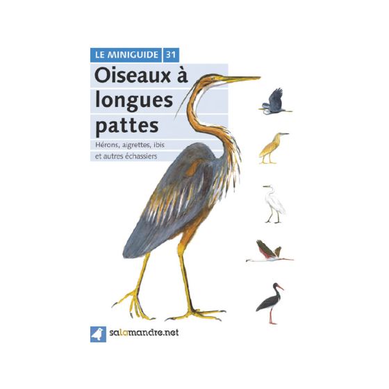 MINIGUIDE 31 OISEAUX A LONGUES PATTES