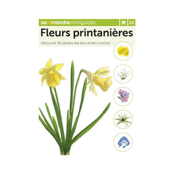 MINIGUIDE 20 LES FLEURS PRINTANIERES