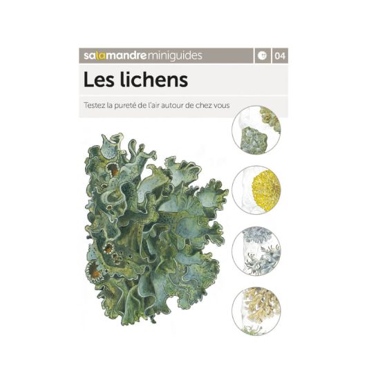 MINIGUIDE 4 LES LICHENS MINIGUIDE 4 LES LICHENS