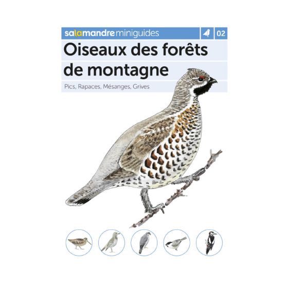 MINIGUIDE 2 OISEAUX DES FORETS DE MONTAGNE MINIGUIDE 2 OISEAUX DES FORETS DE MONTAGNE