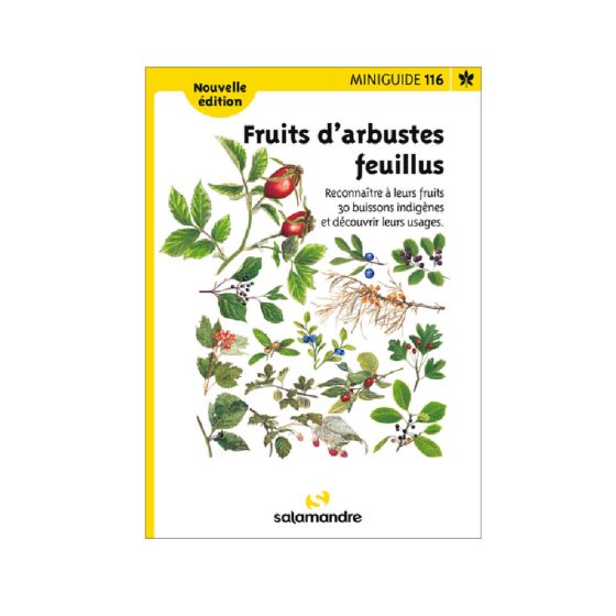 Miniguide 116 - Fruits d'arbustes feuillus