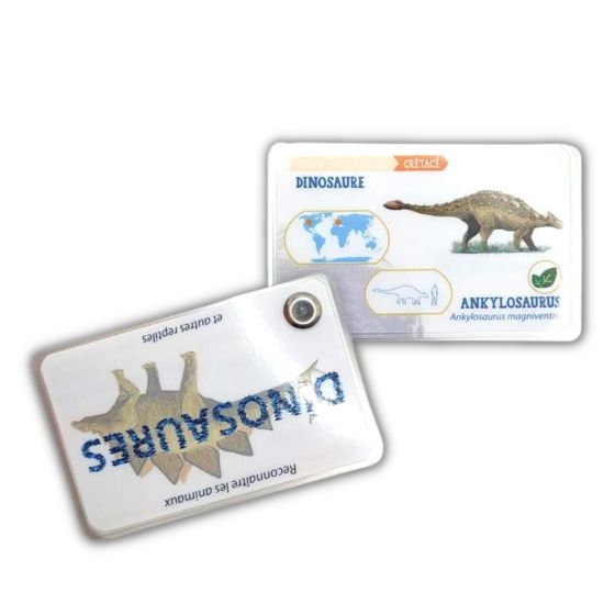 Carnet Les dinosaures